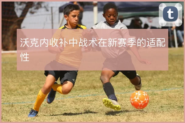沃克内收补中战术在新赛季的适配性