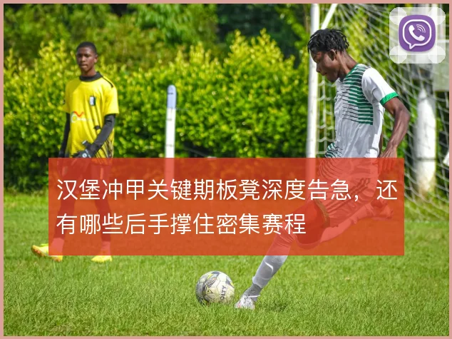 汉堡冲甲关键期板凳深度告急,还有哪些后手撑住密集赛程