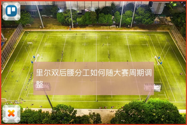 里尔双后腰分工如何随大赛周期调整