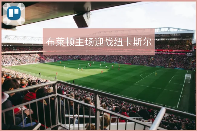 布莱顿主场迎战纽卡斯尔