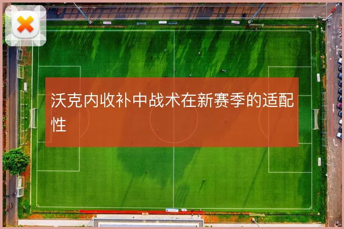 沃克内收补中战术在新赛季的适配性