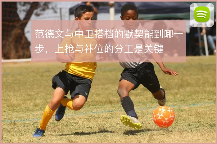 范德文与中卫搭档的默契能到哪一步,上抢与补位的分工是关键