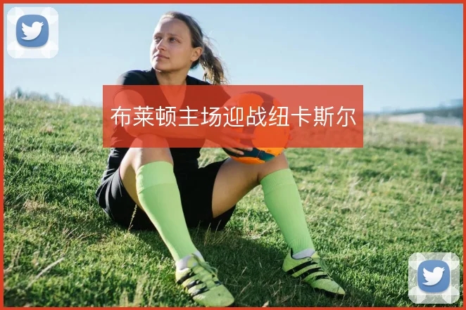 布莱顿主场迎战纽卡斯尔